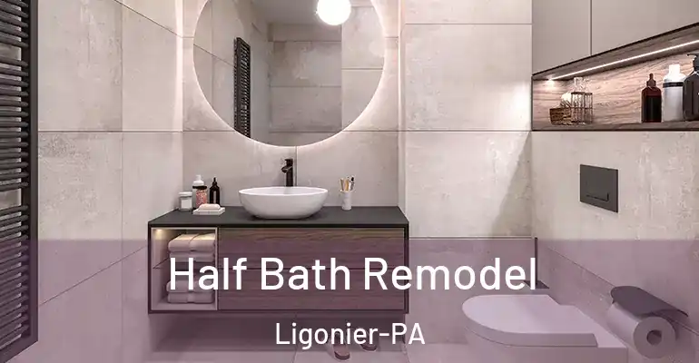 inner Bathroom imggen Half Bath Remodel Ligonier-PA