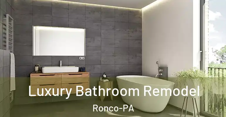 inner Bathroom imggen Luxury Bathroom Remodel Ronco-PA