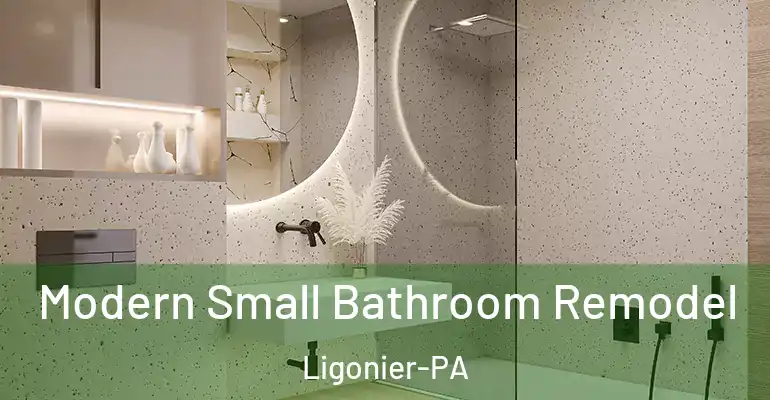 inner Bathroom imggen Modern Small Bathroom Remodel Ligonier-PA