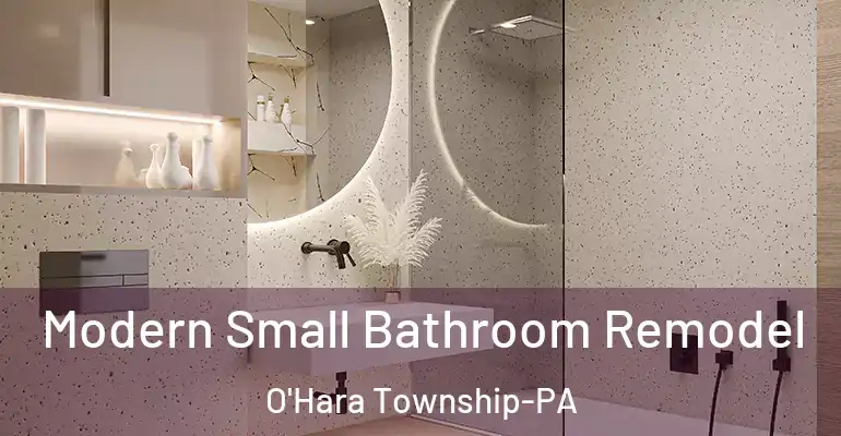inner Bathroom imggen Modern Small Bathroom Remodel O'Hara Township-PA