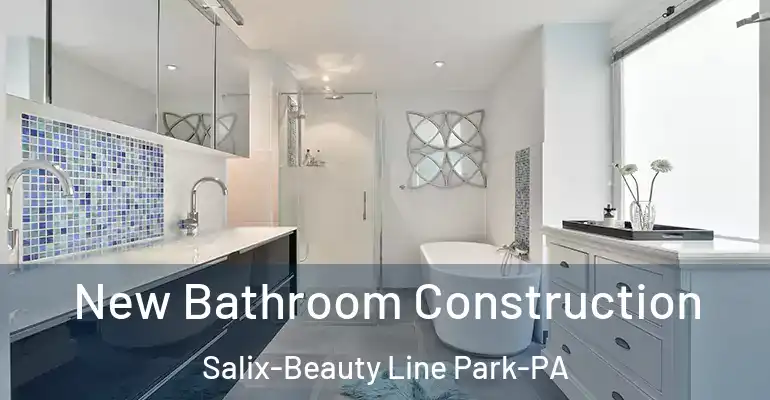 inner Bathroom imggen New Bathroom Construction Salix-Beauty Line Park-PA
