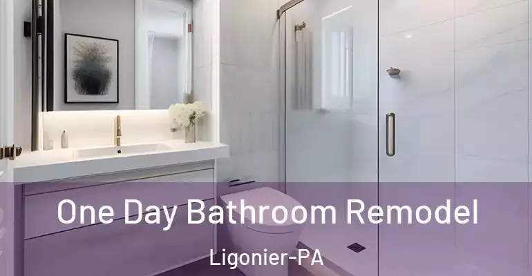 inner Bathroom imggen One Day Bathroom Remodel Ligonier-PA