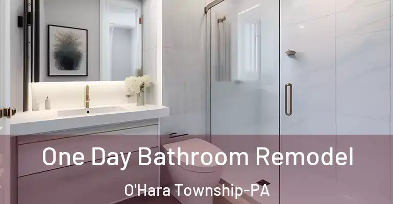 inner Bathroom imggen One Day Bathroom Remodel O'Hara Township-PA