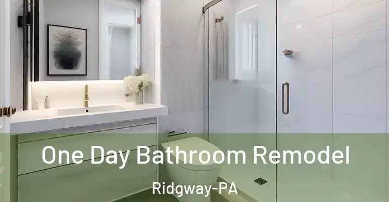 inner Bathroom imggen One Day Bathroom Remodel Ridgway-PA