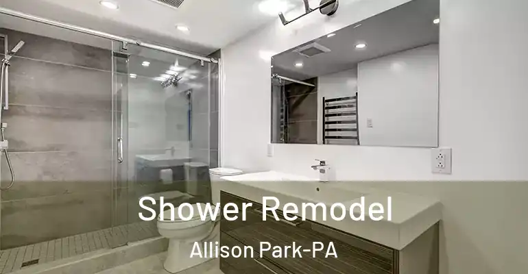 inner Bathroom imggen Shower Remodel Allison Park-PA