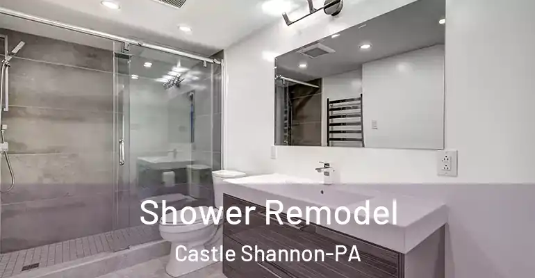 inner Bathroom imggen Shower Remodel Castle Shannon-PA