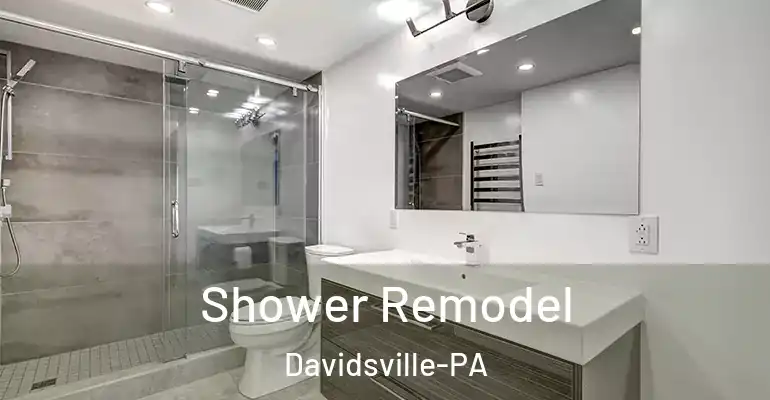 inner Bathroom imggen Shower Remodel Davidsville-PA
