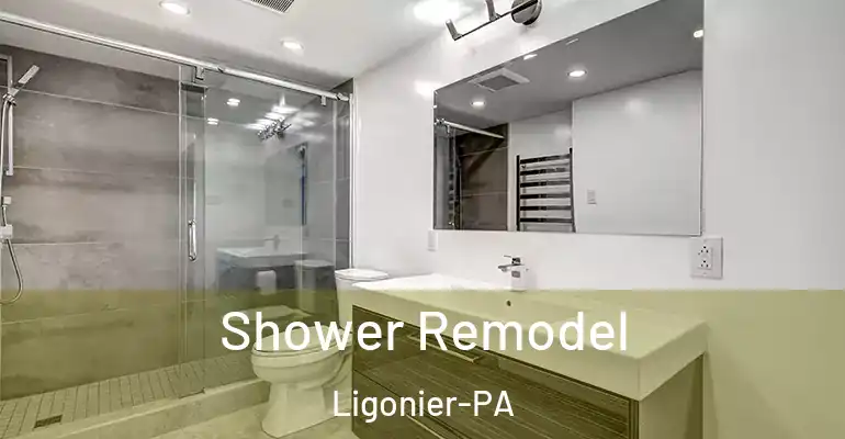 inner Bathroom imggen Shower Remodel Ligonier-PA