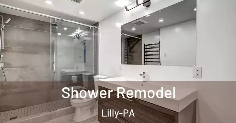 inner Bathroom imggen Shower Remodel Lilly-PA
