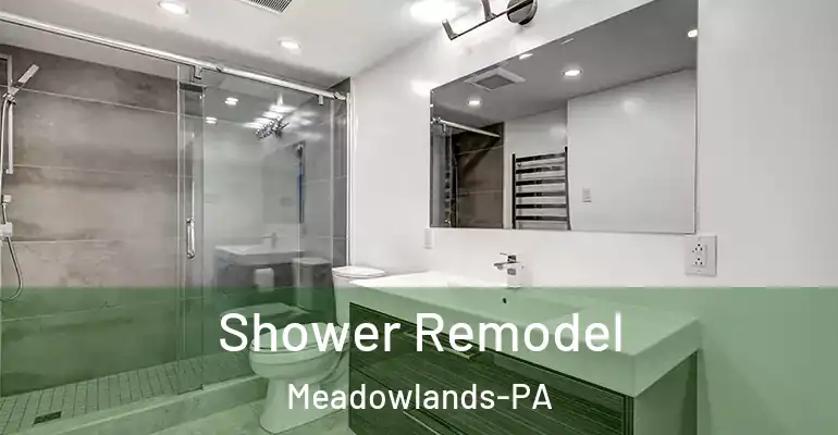 inner Bathroom imggen Shower Remodel Meadowlands-PA