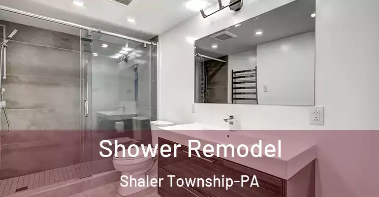 inner Bathroom imggen Shower Remodel Shaler Township-PA