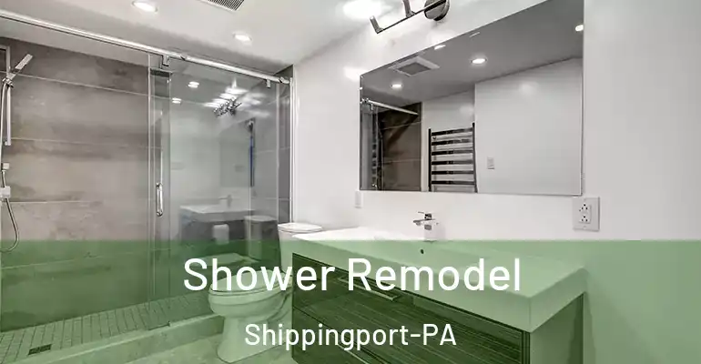 inner Bathroom imggen Shower Remodel Shippingport-PA