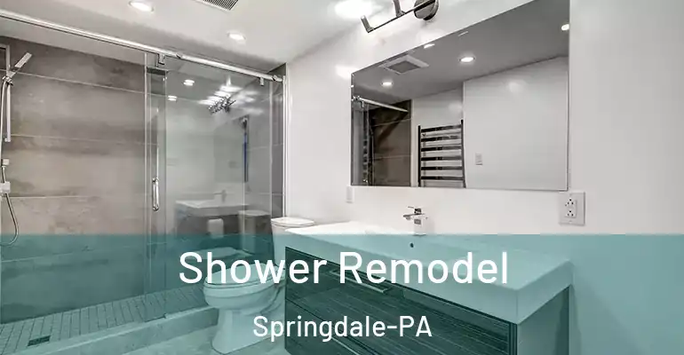 inner Bathroom imggen Shower Remodel Springdale-PA