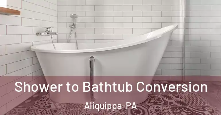inner Bathroom imggen Shower to Bathtub Conversion Aliquippa-PA