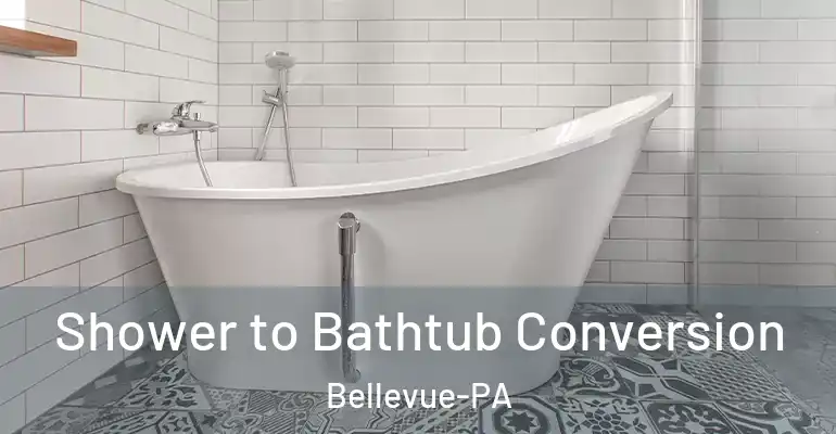 inner Bathroom imggen Shower to Bathtub Conversion Bellevue-PA
