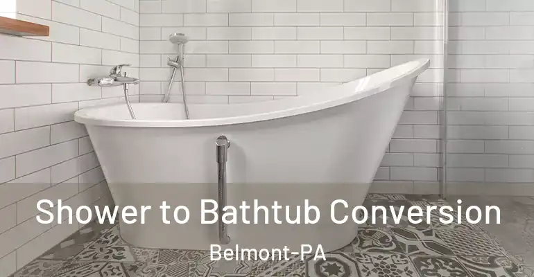 inner Bathroom imggen Shower to Bathtub Conversion Belmont-PA