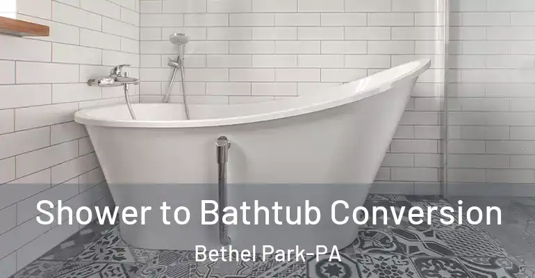 inner Bathroom imggen Shower to Bathtub Conversion Bethel Park-PA