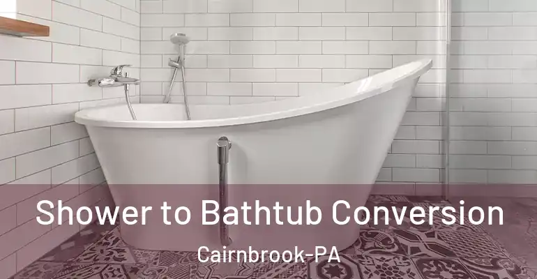inner Bathroom imggen Shower to Bathtub Conversion Cairnbrook-PA