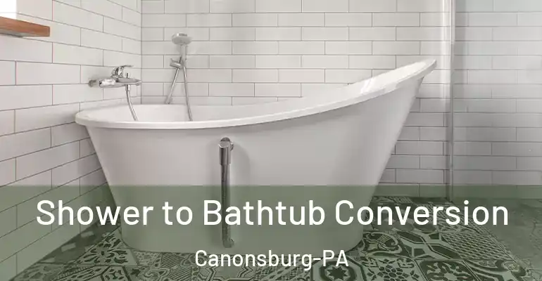 inner Bathroom imggen Shower to Bathtub Conversion Canonsburg-PA