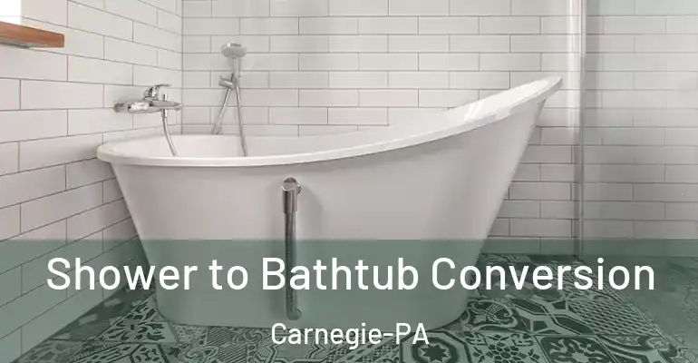 inner Bathroom imggen Shower to Bathtub Conversion Carnegie-PA