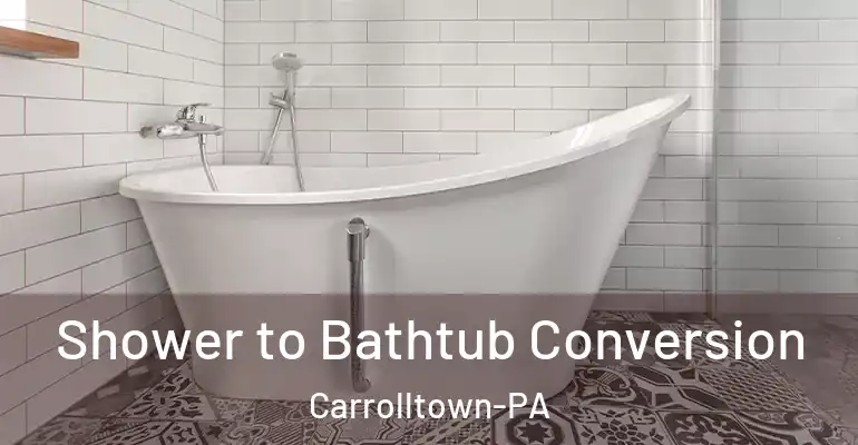 inner Bathroom imggen Shower to Bathtub Conversion Carrolltown-PA