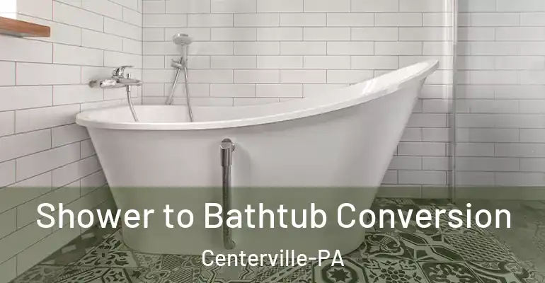 inner Bathroom imggen Shower to Bathtub Conversion Centerville-PA