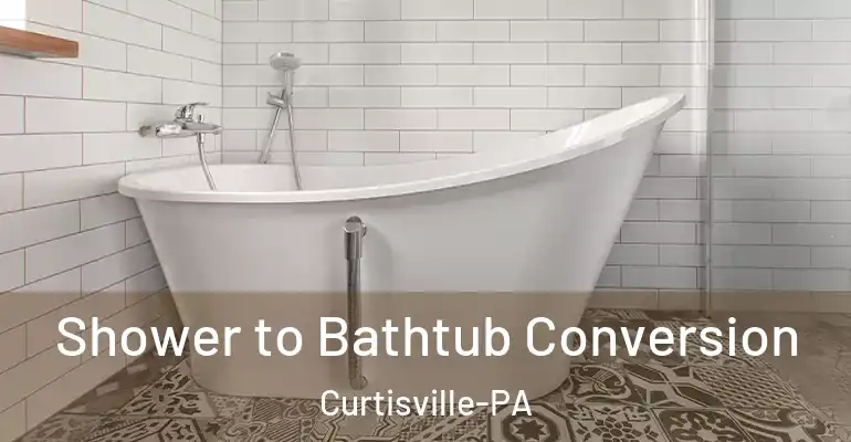 inner Bathroom imggen Shower to Bathtub Conversion Curtisville-PA