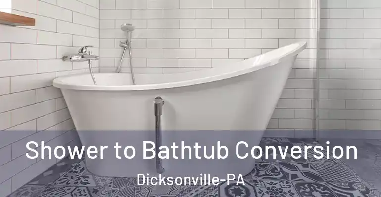 inner Bathroom imggen Shower to Bathtub Conversion Dicksonville-PA
