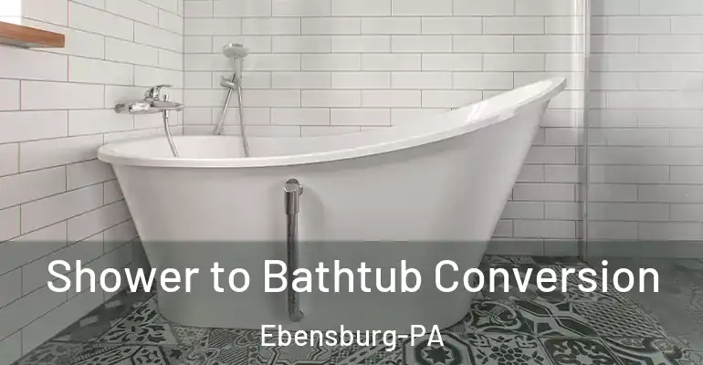inner Bathroom imggen Shower to Bathtub Conversion Ebensburg-PA