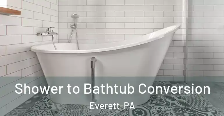 inner Bathroom imggen Shower to Bathtub Conversion Everett-PA