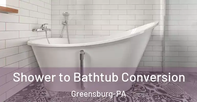 inner Bathroom imggen Shower to Bathtub Conversion Greensburg-PA