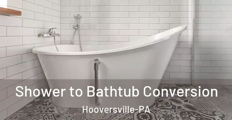 inner Bathroom imggen Shower to Bathtub Conversion Hooversville-PA