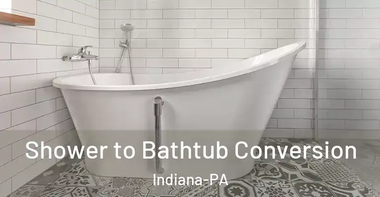 inner Bathroom imggen Shower to Bathtub Conversion Indiana-PA