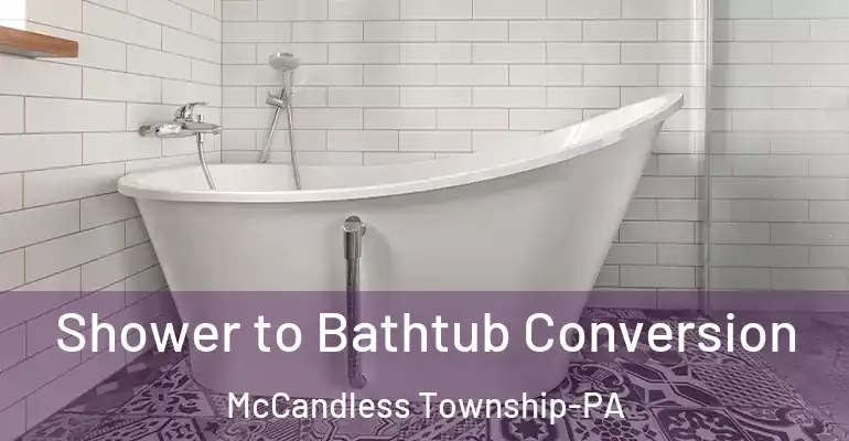 inner Bathroom imggen Shower to Bathtub Conversion McCandless Township-PA