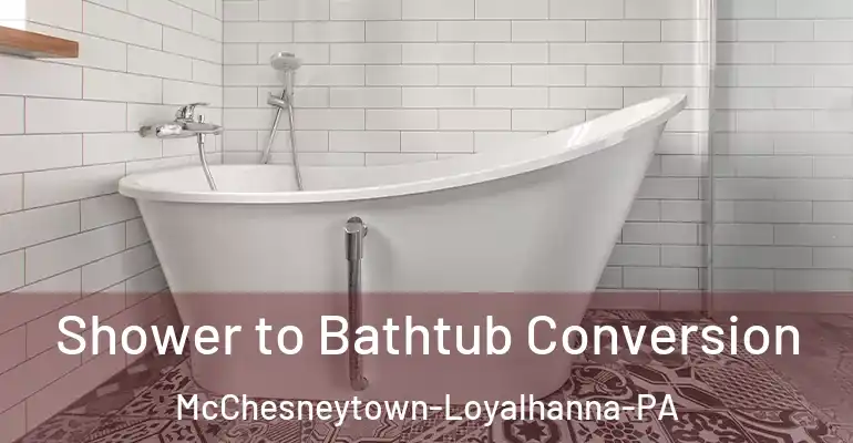 inner Bathroom imggen Shower to Bathtub Conversion McChesneytown-Loyalhanna-PA