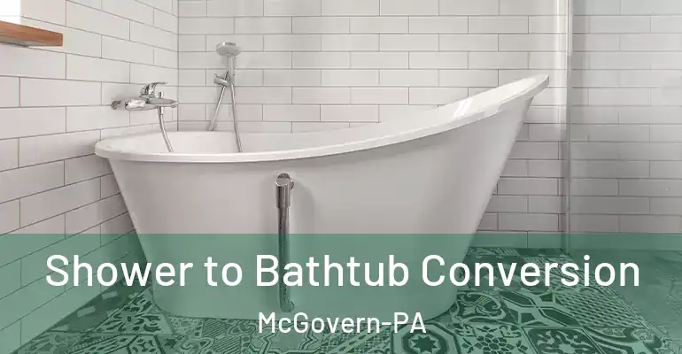 inner Bathroom imggen Shower to Bathtub Conversion McGovern-PA