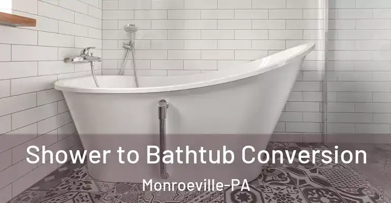 inner Bathroom imggen Shower to Bathtub Conversion Monroeville-PA