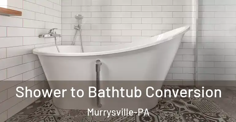 inner Bathroom imggen Shower to Bathtub Conversion Murrysville-PA