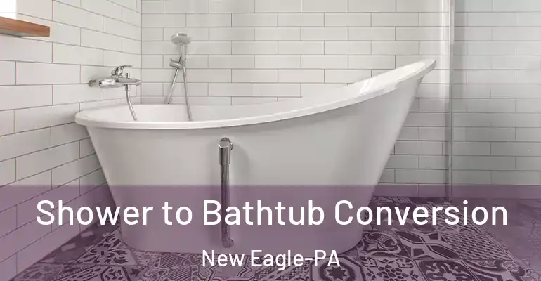 inner Bathroom imggen Shower to Bathtub Conversion New Eagle-PA