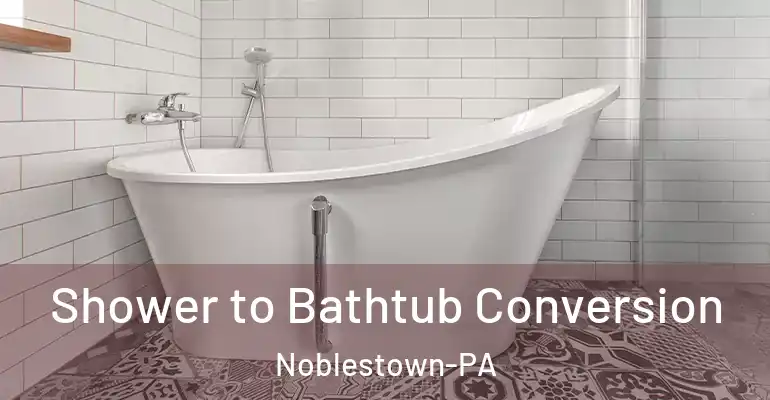 inner Bathroom imggen Shower to Bathtub Conversion Noblestown-PA