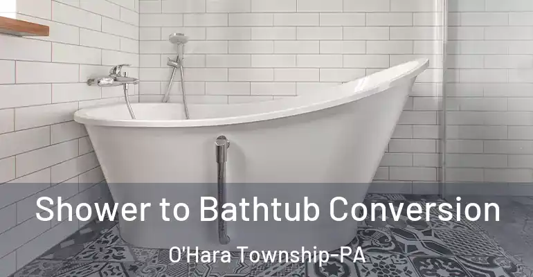 inner Bathroom imggen Shower to Bathtub Conversion O'Hara Township-PA