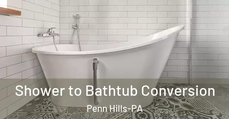 inner Bathroom imggen Shower to Bathtub Conversion Penn Hills-PA