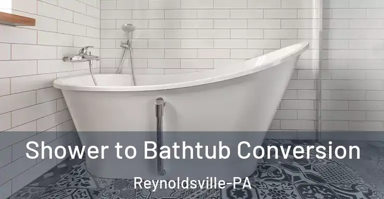 inner Bathroom imggen Shower to Bathtub Conversion Reynoldsville-PA