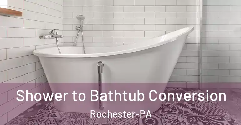 inner Bathroom imggen Shower to Bathtub Conversion Rochester-PA