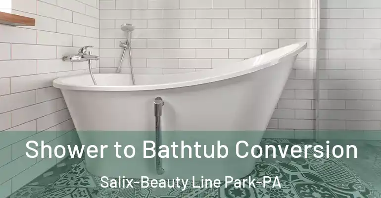 inner Bathroom imggen Shower to Bathtub Conversion Salix-Beauty Line Park-PA
