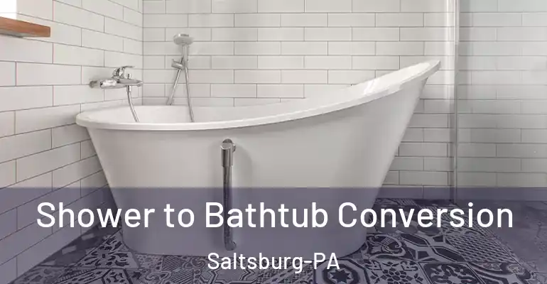 inner Bathroom imggen Shower to Bathtub Conversion Saltsburg-PA
