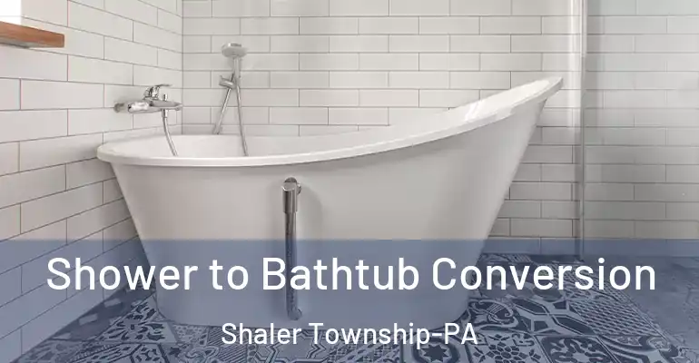 inner Bathroom imggen Shower to Bathtub Conversion Shaler Township-PA