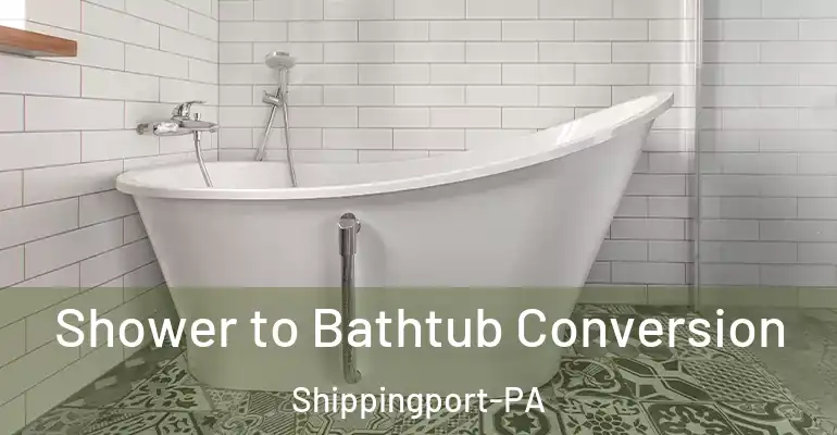 inner Bathroom imggen Shower to Bathtub Conversion Shippingport-PA