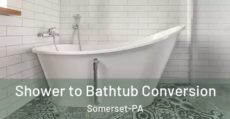 inner Bathroom imggen Shower to Bathtub Conversion Somerset-PA