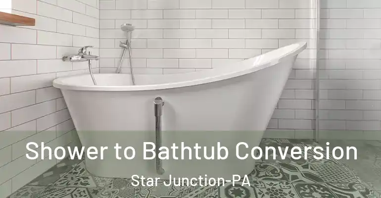inner Bathroom imggen Shower to Bathtub Conversion Star Junction-PA